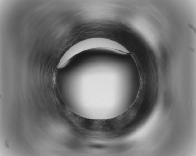 X0000096210190200802011329