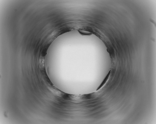 X0000096210191200802011329