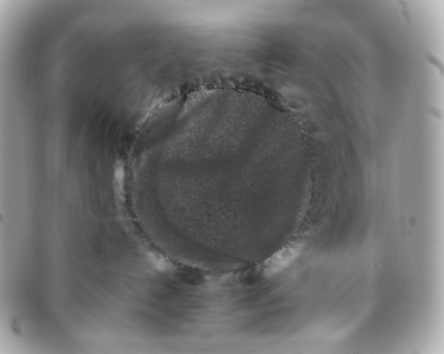 X0000096210192200802011329