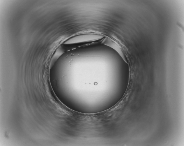 X0000096210193200802011328