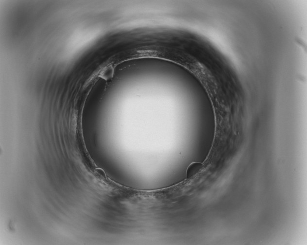 X0000096210194200802011328