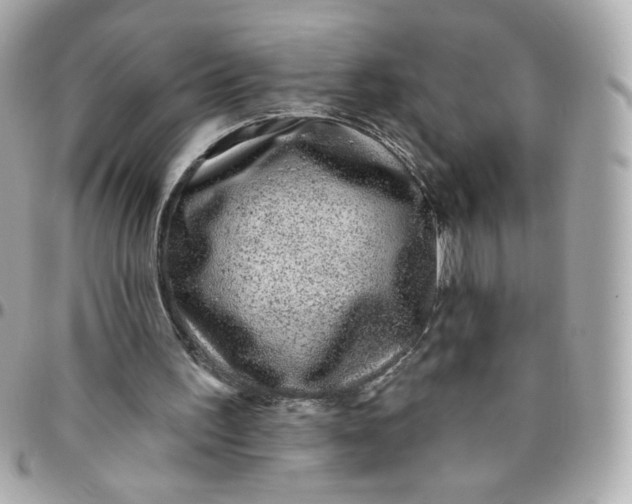 X0000096210195200802011328