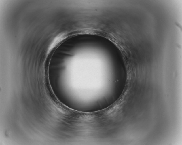 X0000096210198200802011328