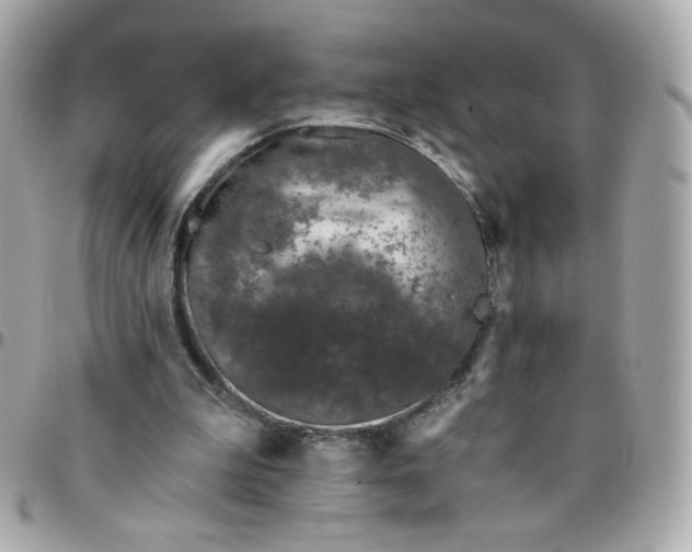 X0000096210199200802011328