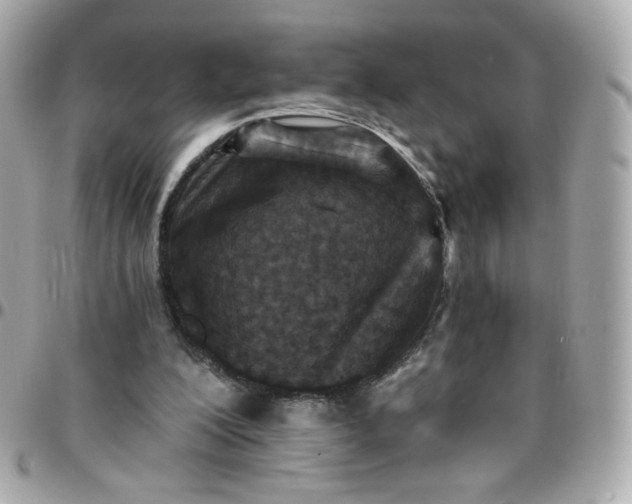 X0000096210200200802011328