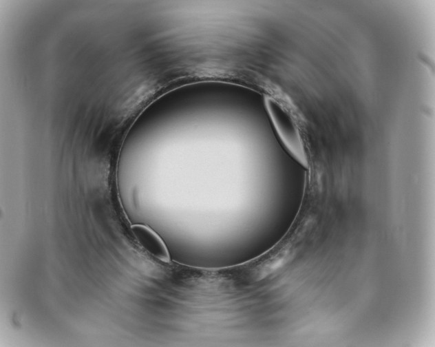 X0000096210201200802011328