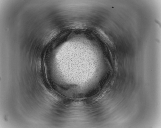 X0000096210202200802011328