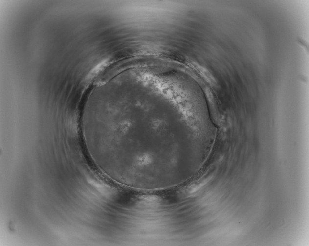 X0000096210203200802011328