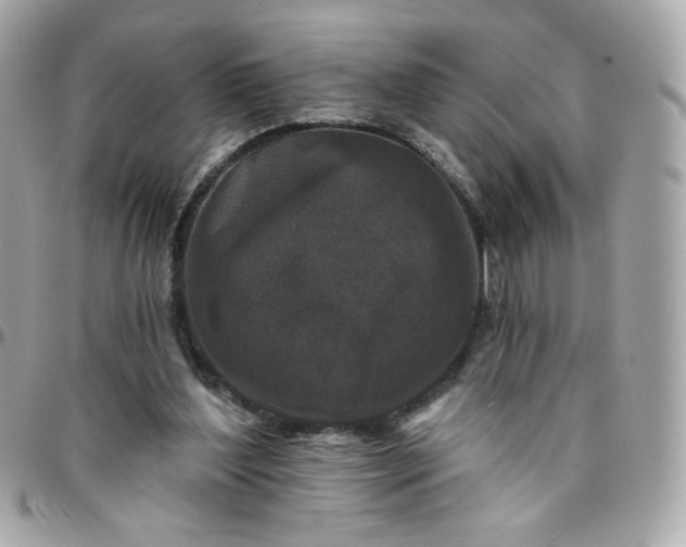 X0000096210204200802011328