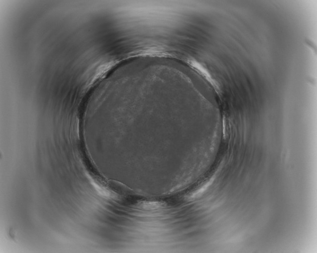 X0000096210205200802011328