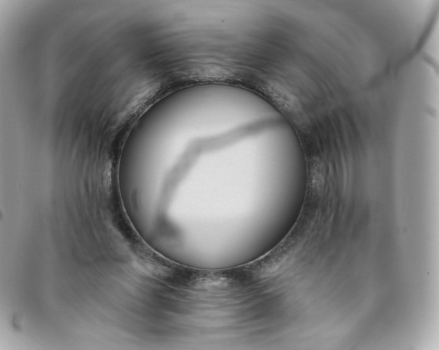 X0000096210206200802011328