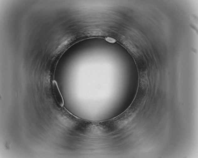 X0000096210207200802011328