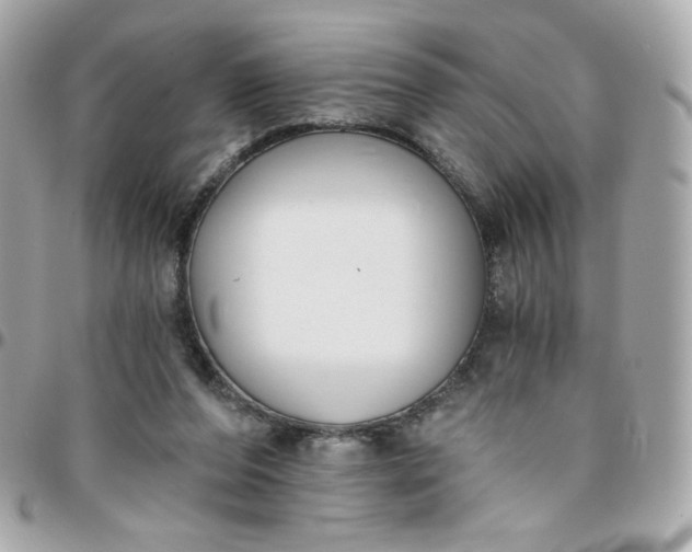 X0000096210208200802011328