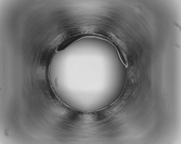 X0000096210209200802011328