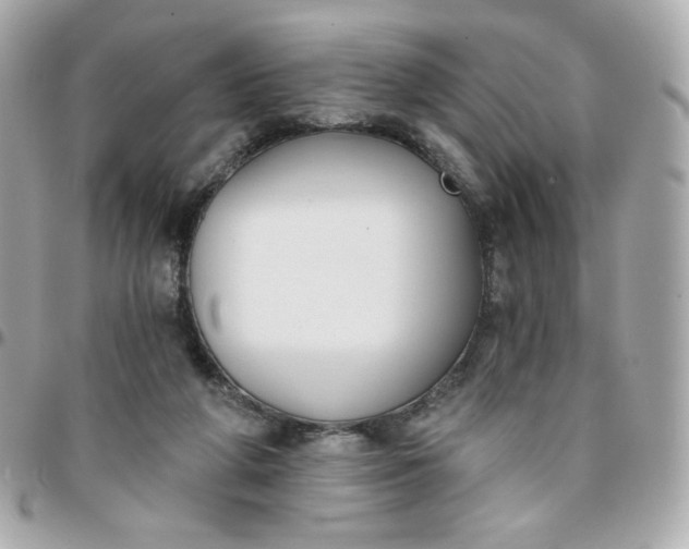 X0000096210210200802011328