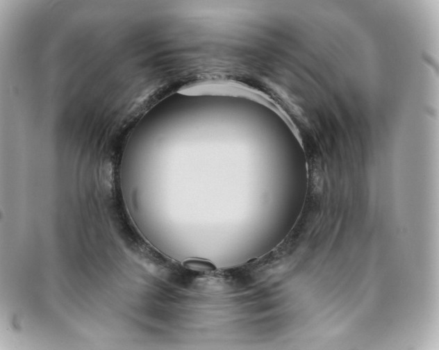 X0000096210211200802011328