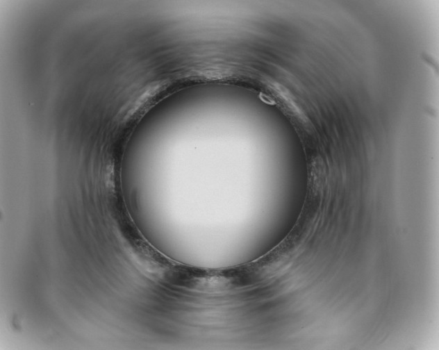 X0000096210212200802011328