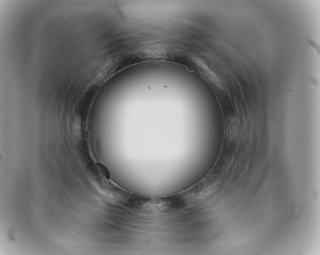 X0000096210213200802011328