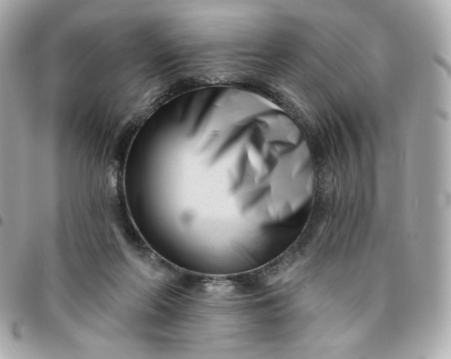 X0000096210214200802011328