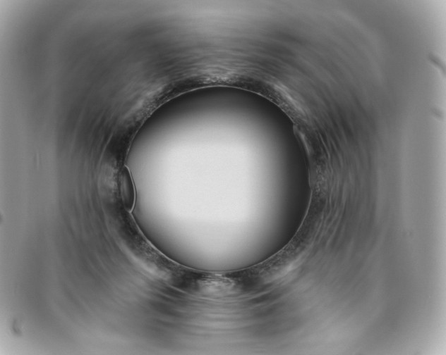 X0000096210215200802011328