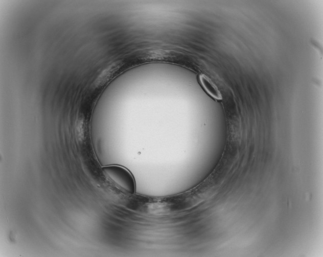 X0000096210216200802011328