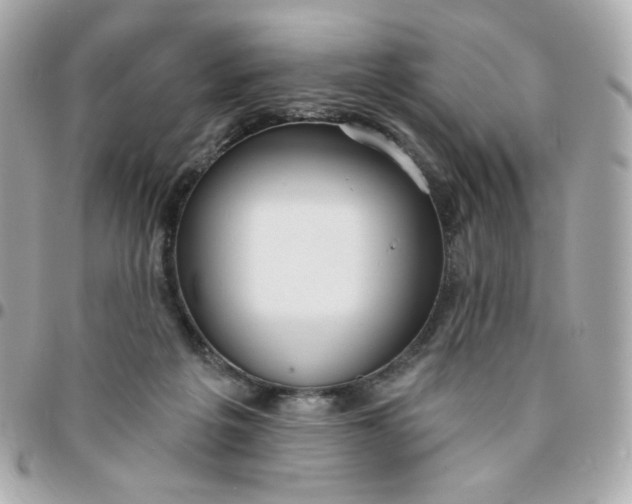 X0000096210217200802011328