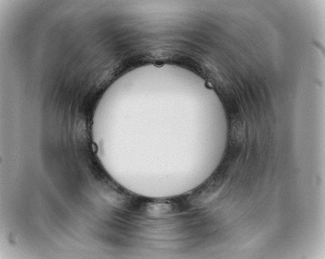 X0000096210220200802011328