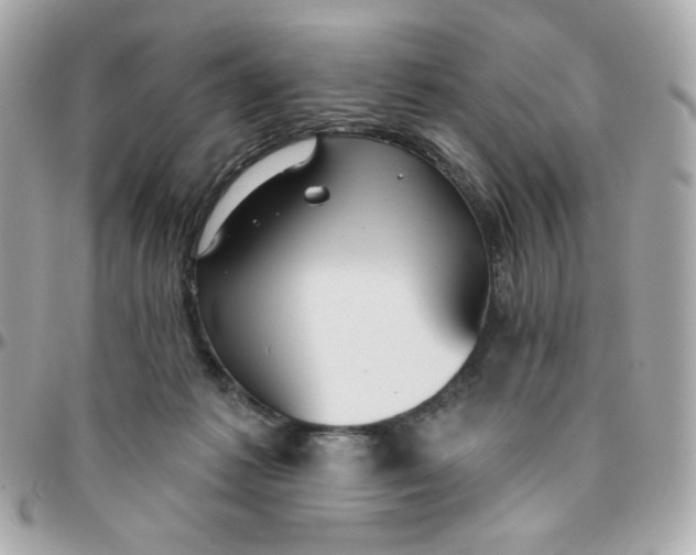 X0000096210221200802011328