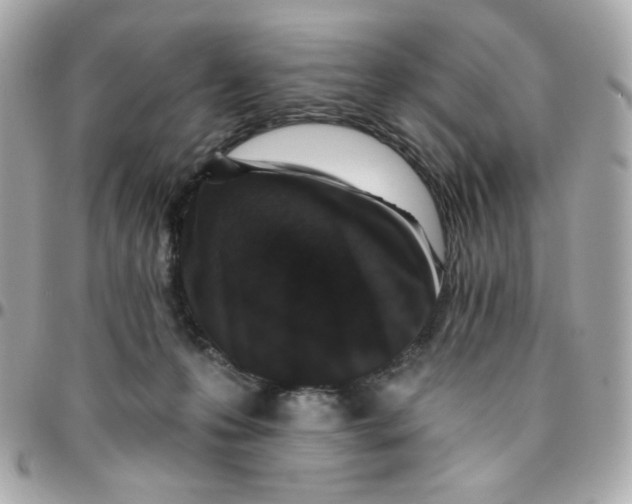 X0000096210223200802011328