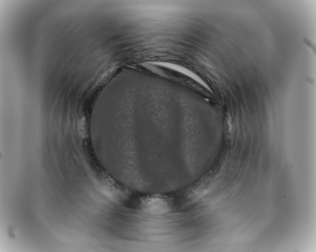 X0000096210224200802011328