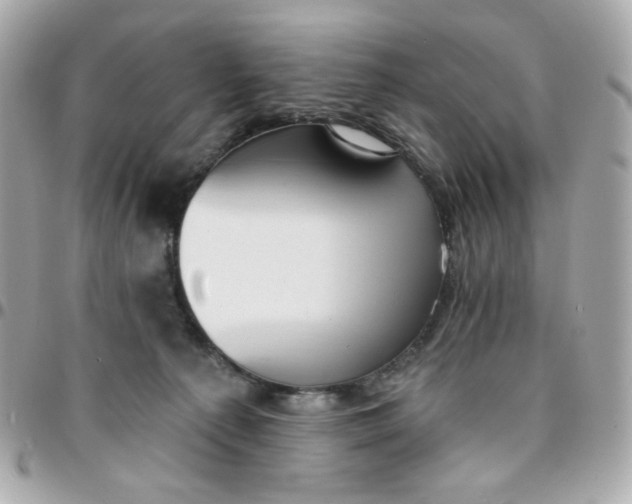 X0000096210225200802011328