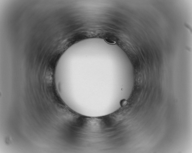 X0000096210226200802011328