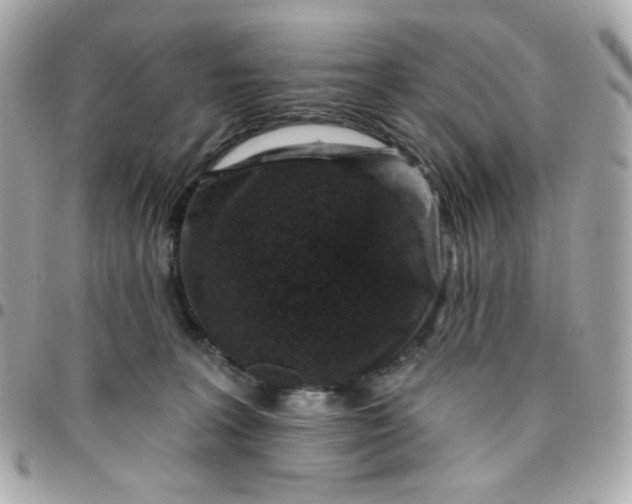 X0000096210227200802011328