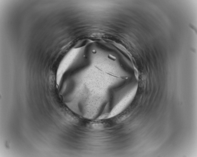 X0000096210228200802011328