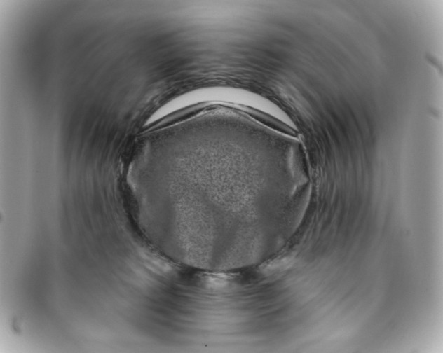 X0000096210229200802011328