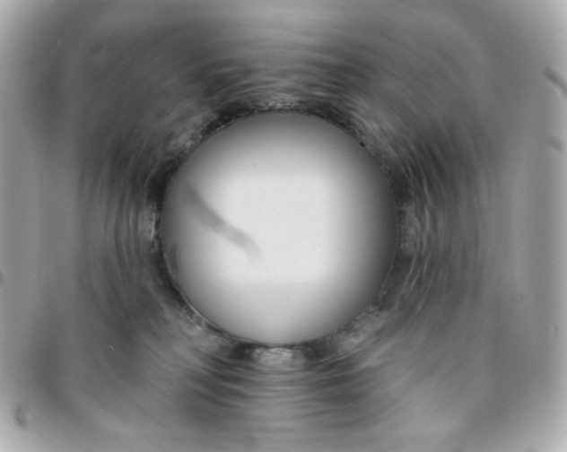 X0000096210230200802011328