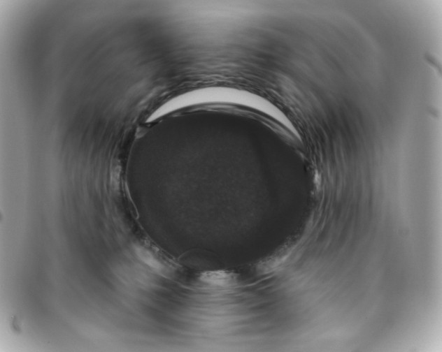 X0000096210231200802011328