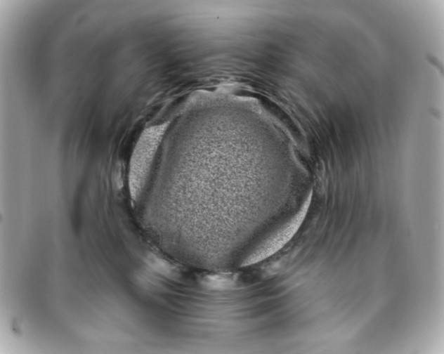 X0000096210232200802011328