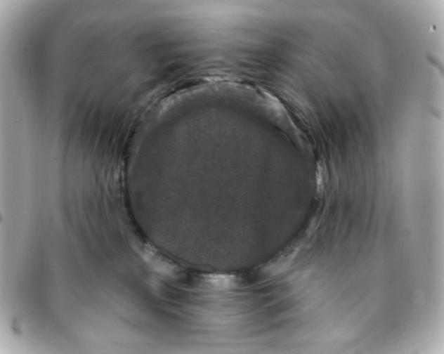 X0000096210233200802011328