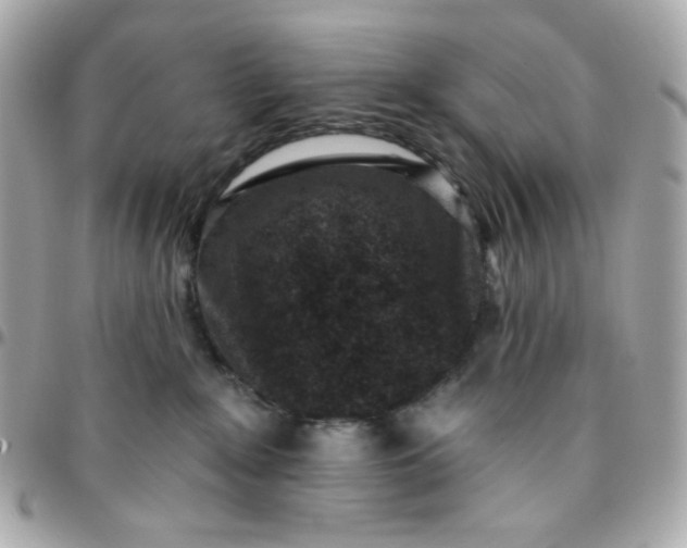 X0000096210235200802011328