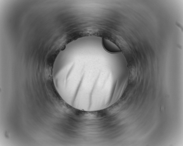 X0000096210236200802011328