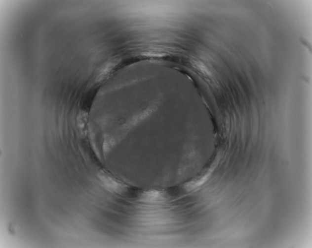 X0000096210237200802011328