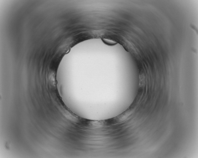 X0000096210238200802011328