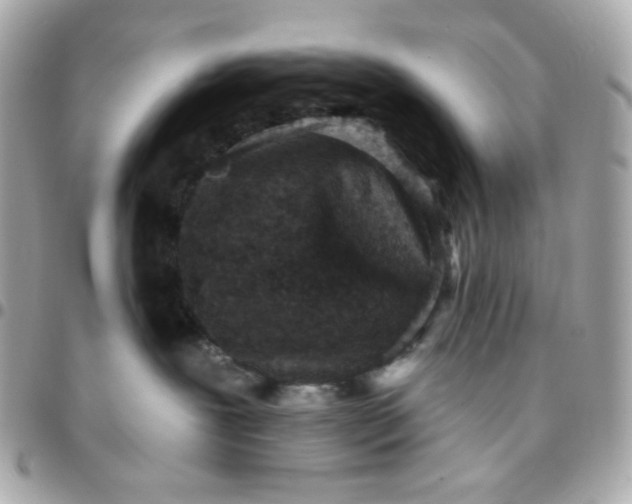 X0000096210239200802011328