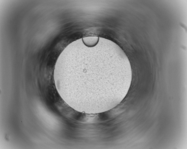 X0000096210240200802011328