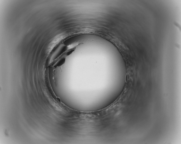 X0000096210242200802011327