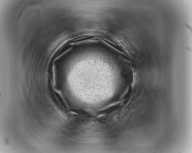 X0000096210243200802011327