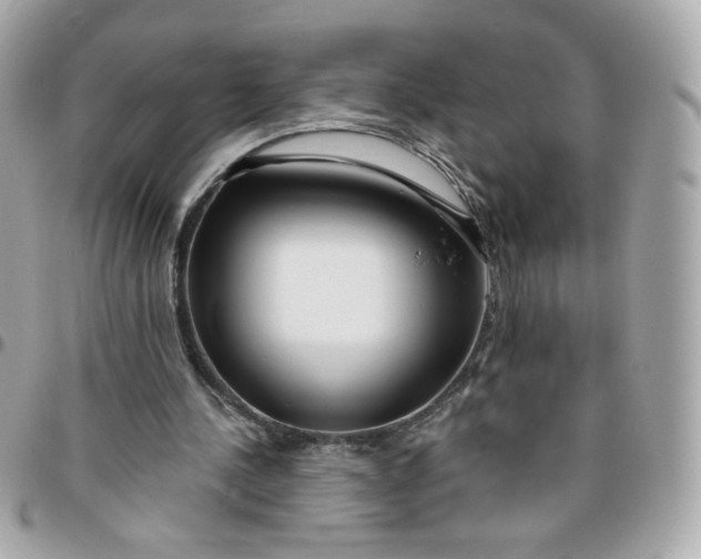 X0000096210244200802011327