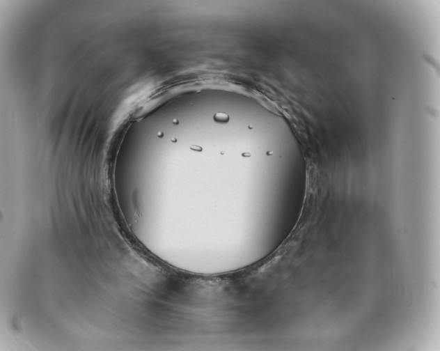 X0000096210245200802011327