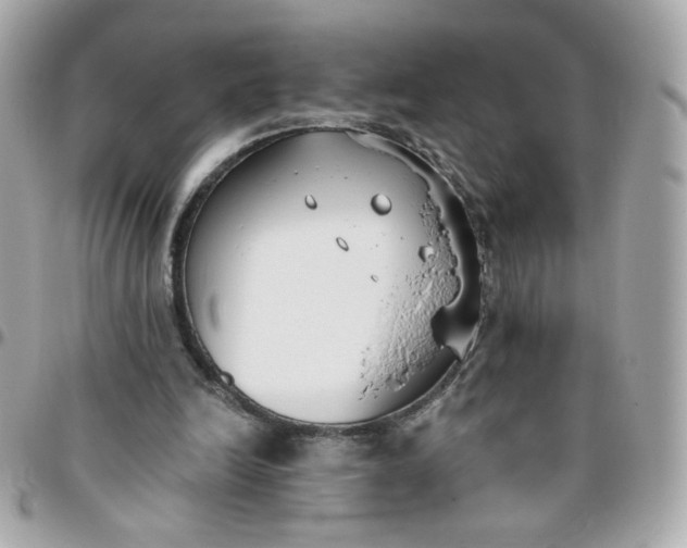 X0000096210246200802011327